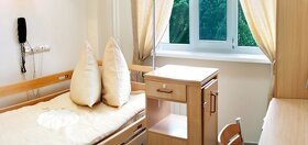 палата палата