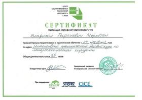 Меркотан В.Г. (сертифікат)