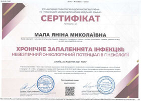Сертификат 19 - Малая Я. Н.