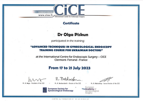 Сертификат - Пискун О. В. Сертифікат - Піскун О. В.