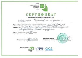 Сертификат - Меркотан В. Г.