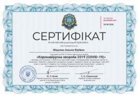 Мищенко Алена Юрьевна - Сертификаты 3 Мищенко Алена Юрьевна - Сертификаты 3.1