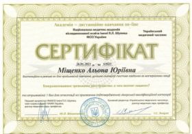 Мищенко Алена Юрьевна - Сертификаты 14 Мищенко Алена Юрьевна - Сертификаты 14.1