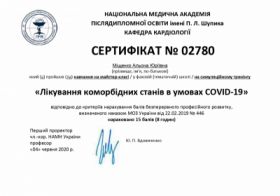 Мищенко Алена Юрьевна - Сертификаты 4 Мищенко Алена Юрьевна - Сертификаты 4.1