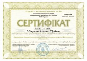 Мищенко Алена Юрьевна - Сертификаты 15 Мищенко Алена Юрьевна - Сертификаты 15.1
