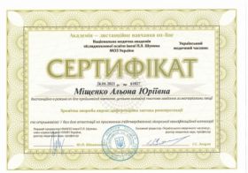 Мищенко Алена Юрьевна - Сертификаты 21 Мищенко Алена Юрьевна - Сертификаты 21.1