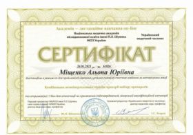 Мищенко Алена Юрьевна - Сертификаты 22 Мищенко Алена Юрьевна - Сертификаты 22.1