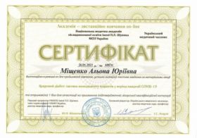 Мищенко Алена Юрьевна - Сертификаты 23 Мищенко Алена Юрьевна - Сертификаты 23.1