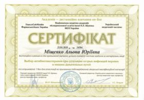 Мищенко Алена Юрьевна - Сертификаты 6 Мищенко Алена Юрьевна - Сертификаты 6.1