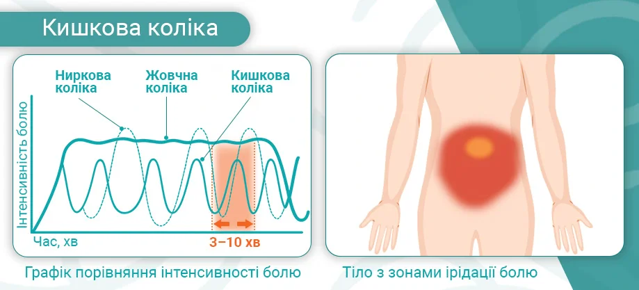 Кишечная колика, желудочная: причины, симптомы и лечение