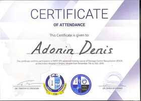 Сертификат (Адонин Д.И.)