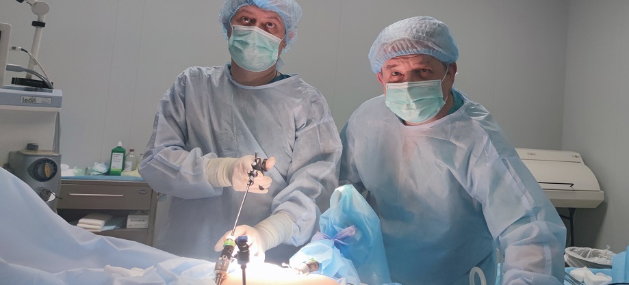 Лапароскопия аппендицита - операция по удалению аппендикса в СПб - Euromed