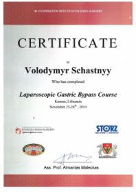 Счастный Владимир Михайлович (сертификат 11) Счастный Владимир Михайлович (сертификат 11)