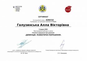 Галузинская Алла Викторовна - Сертификаты 3 Галузинская Алла Викторовна - Сертификаты 3.1