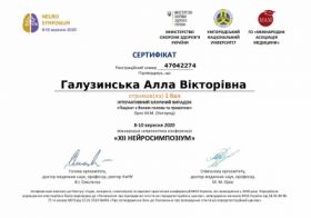 Галузинская Алла Викторовна - Сертификаты 6 Галузинская Алла Викторовна - Сертификаты 6.1