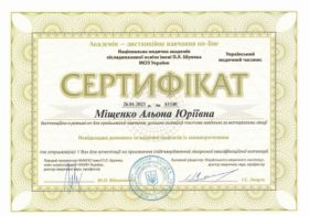 Сертифікат Міщенко Альона Юріївна