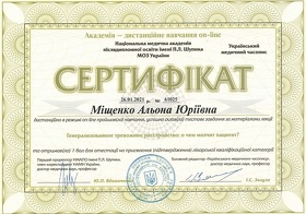 Сертифікат - Міщенко А.Ю.