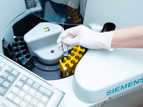 Антитела IgG, IgM к вирусу кори