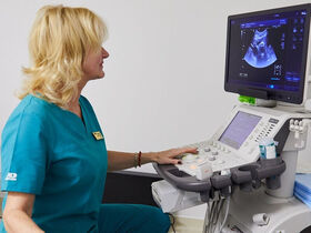 Лечение холестаза