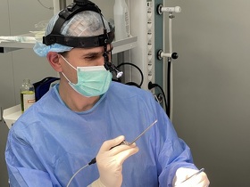 Ментопластика