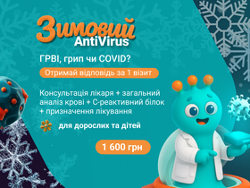 Зимний Anti-Virus	