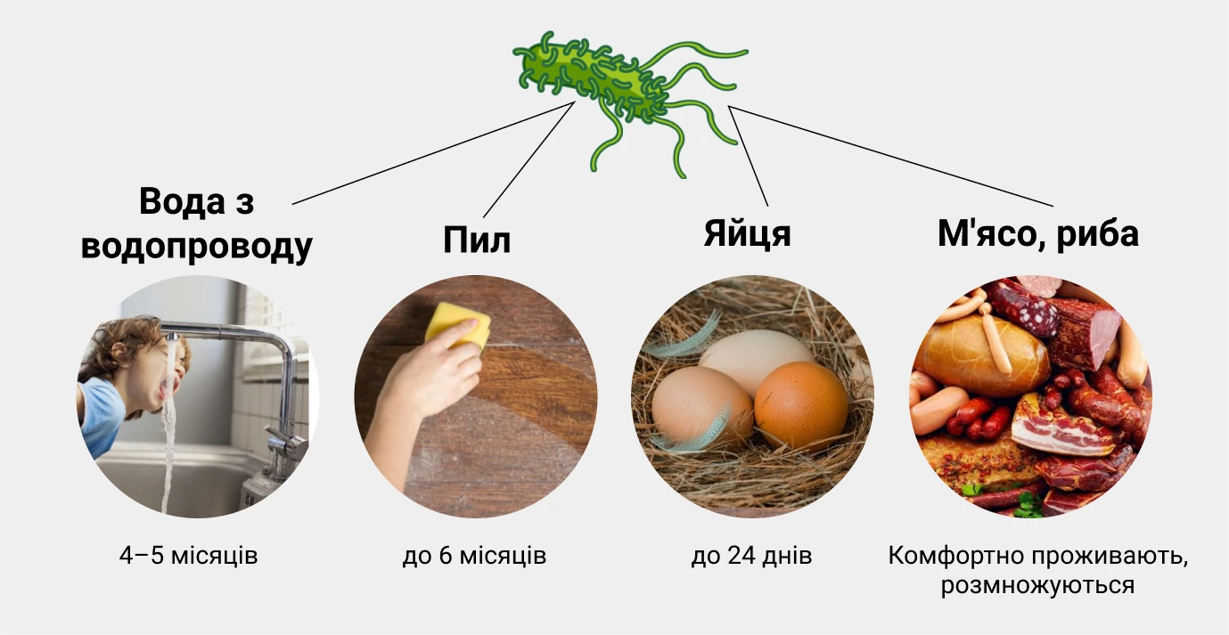 Сальмонеллез