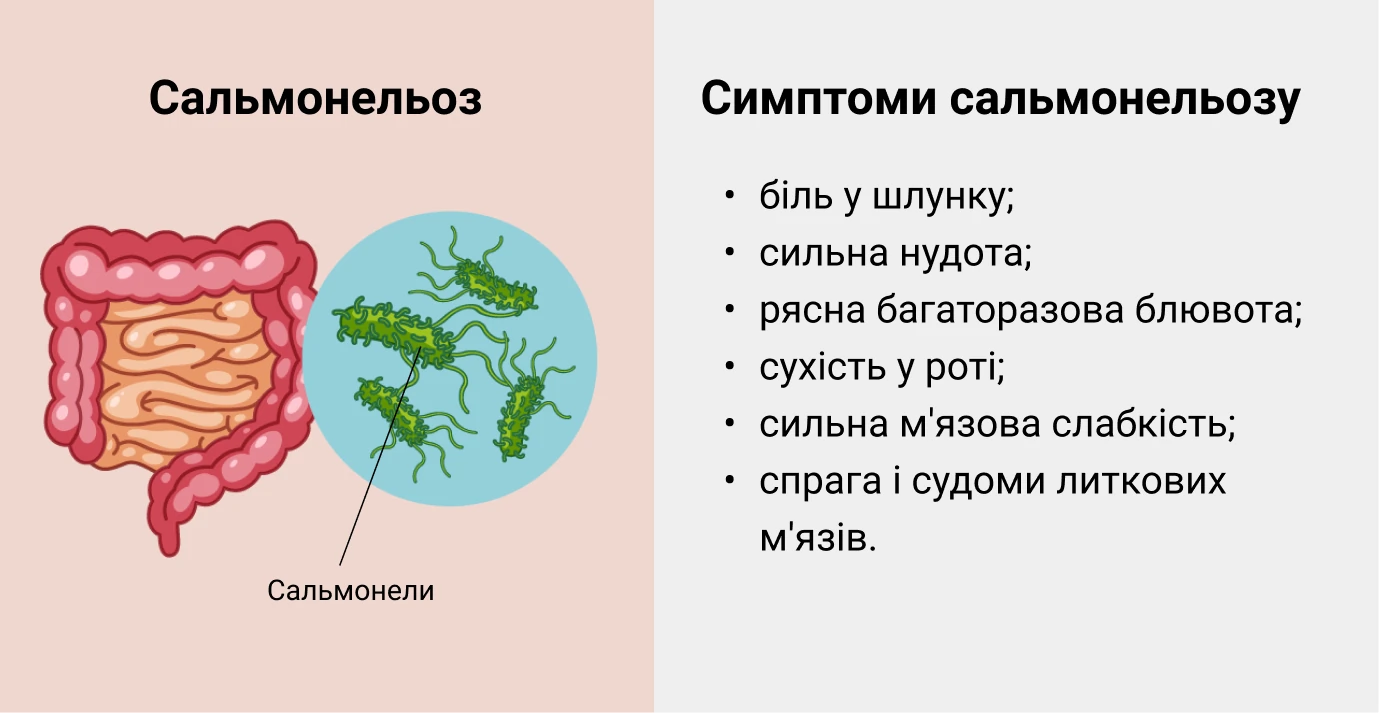 Симптомы сальмонеллеза