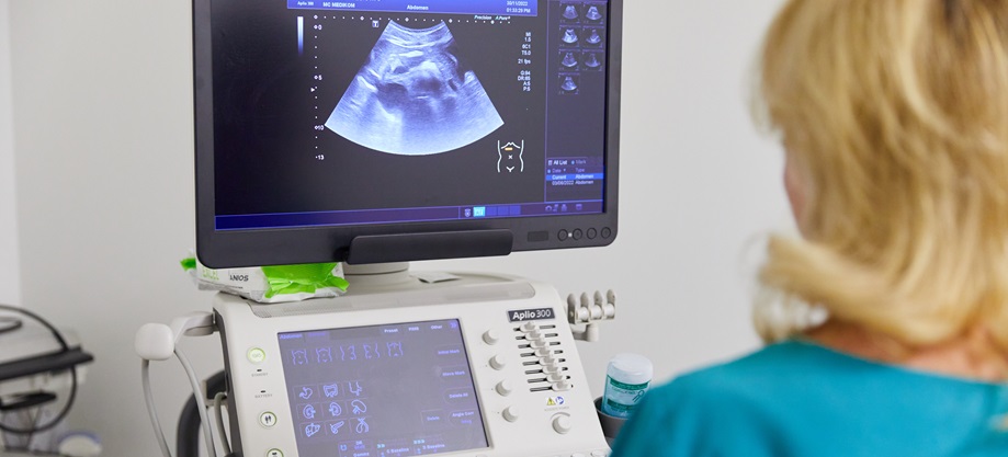 uzd cgerevnoi poroznyny.jpg узд молочних залоз