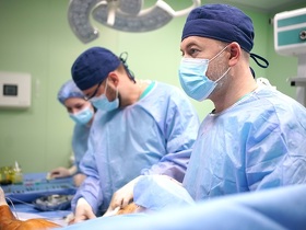 судинна хірургія