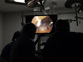 Заворот кишок